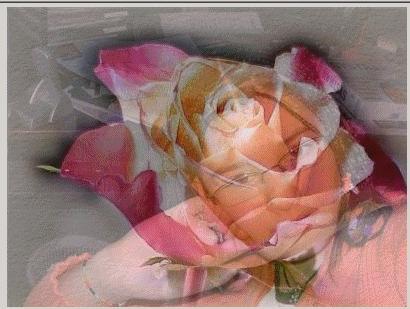  mon amour et la miyeur music